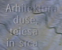 medved za splet